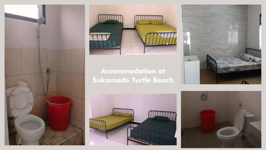 Accommodation at Sukamade Beach