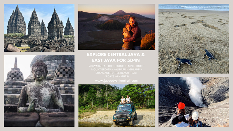 YOGYAKARTA – BOROBUDUR TEMPLE TOUR – MOUNT BROMO – KALIBARU HIGHLAND – SUKAMADE TURTLE BEACH –  BALI  (5 DAYS - 4 NIGHTS)